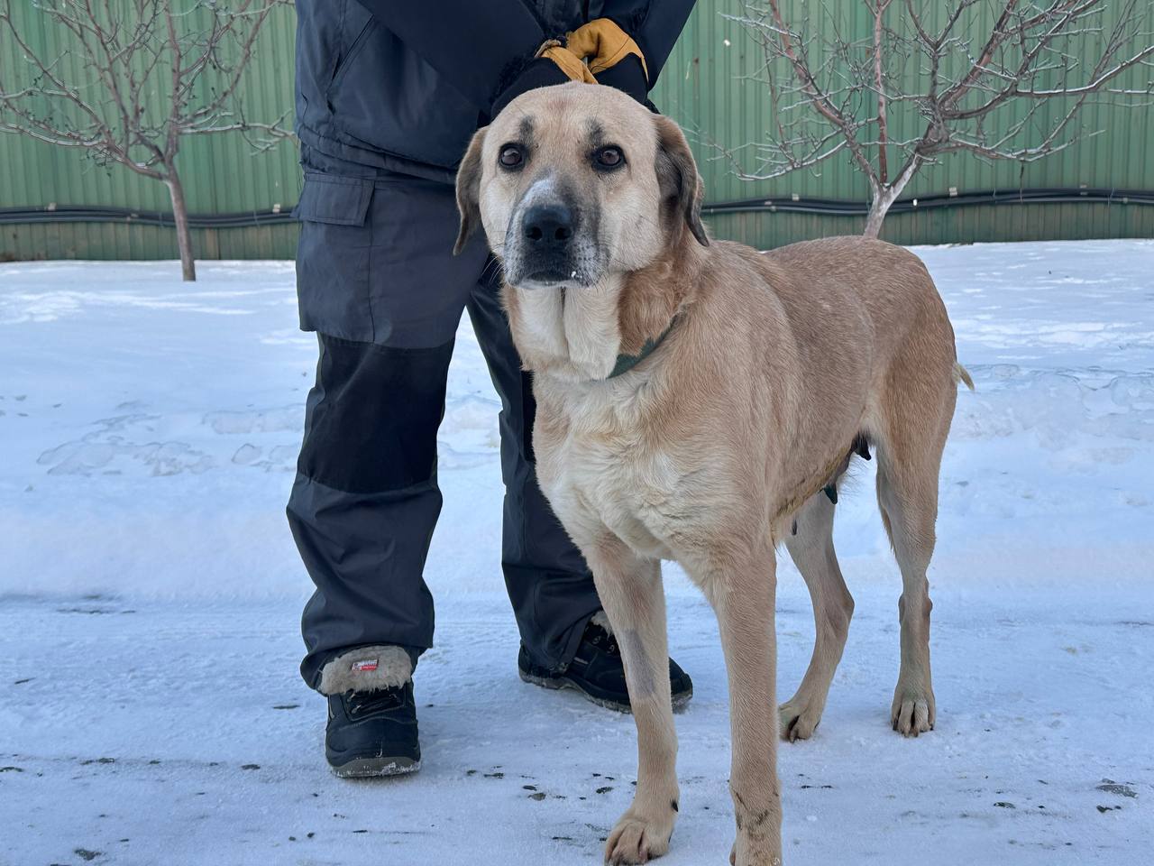 Бастінда photo
