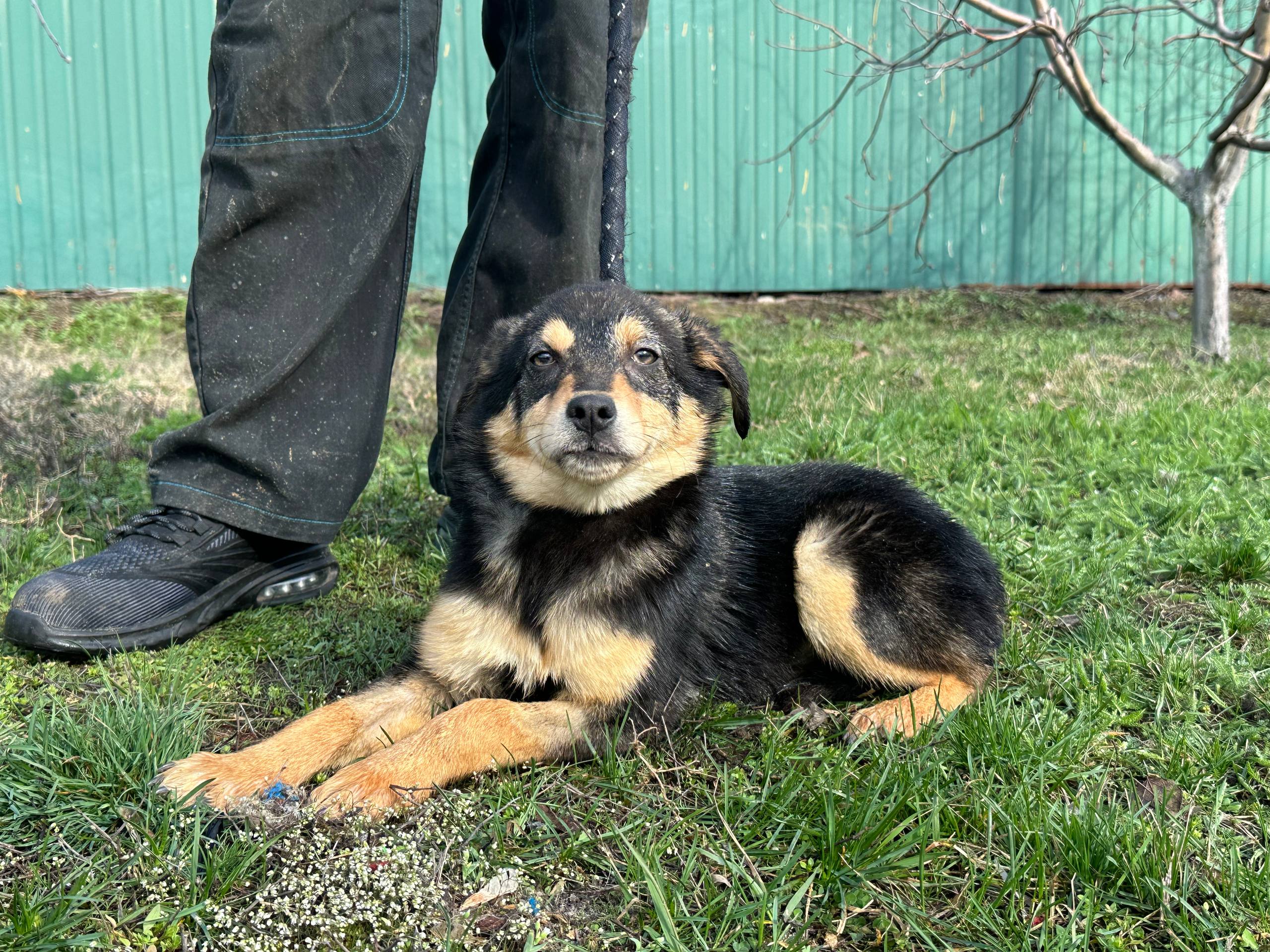 Меліса photo